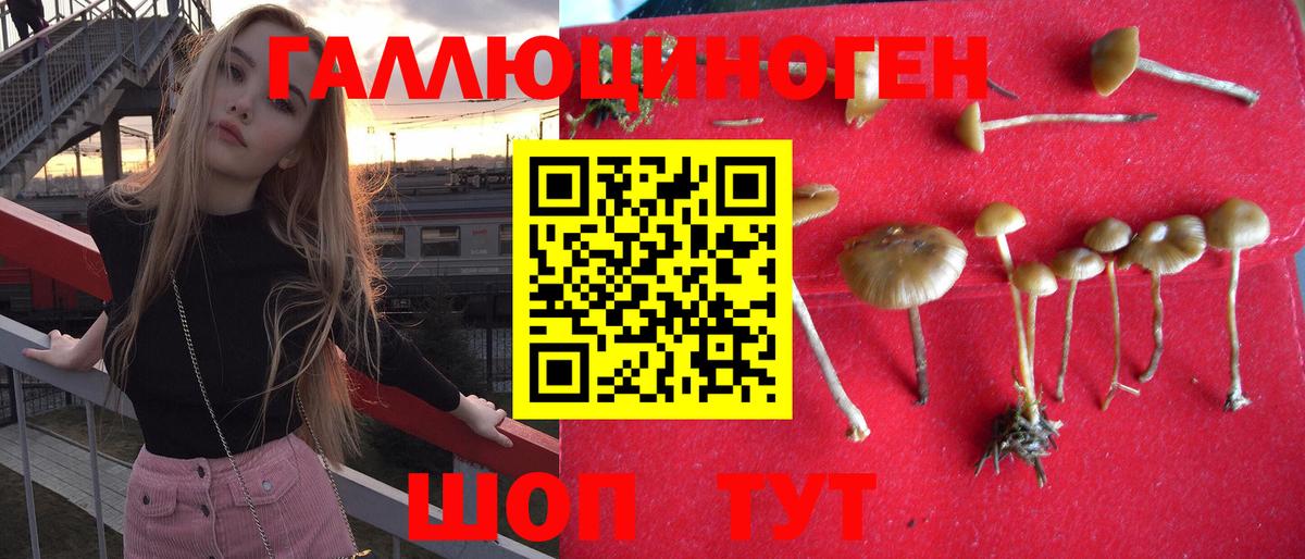Галлюциногенные грибы MAGIC MUSHROOMS Прохладный