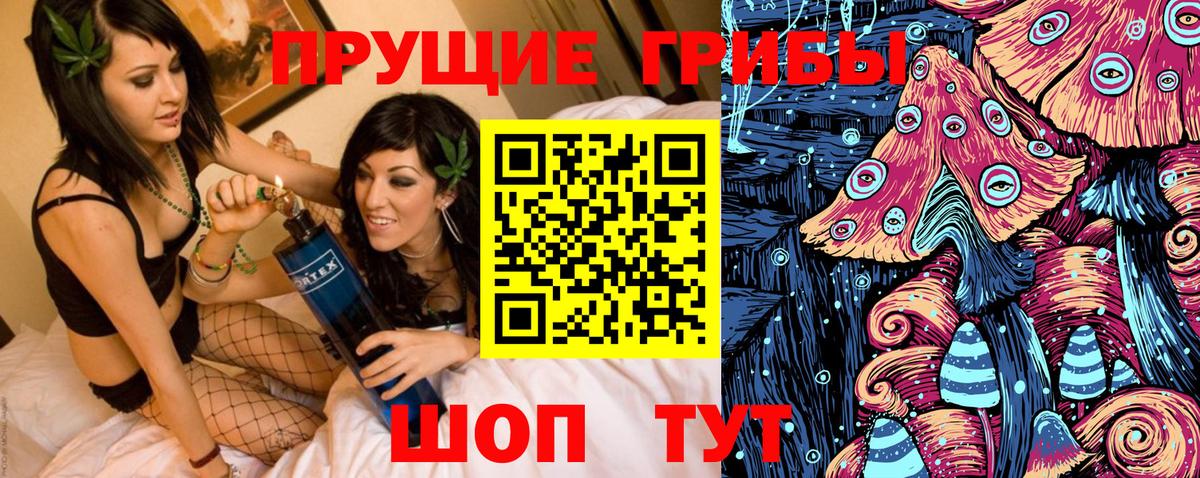 Псилоцибиновые грибы MAGIC MUSHROOMS  Вход с VPN  Прохладный  Галлюциногенные грибы мицелий 